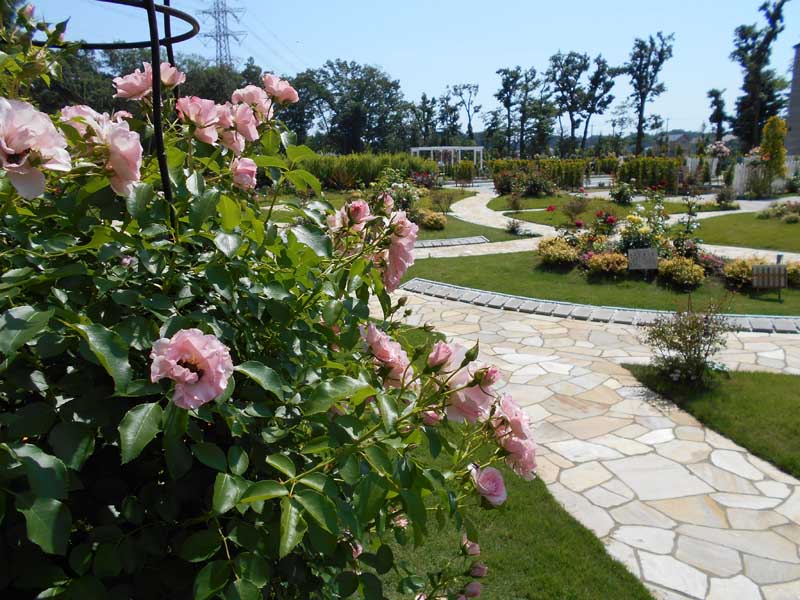 やすらぎの花の里　所沢西武霊園
