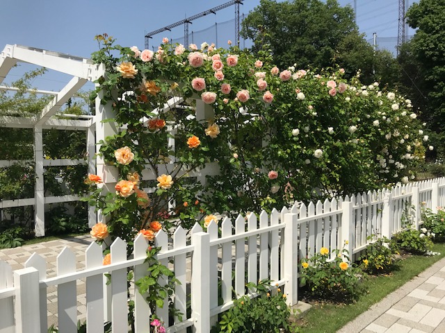 やすらぎの花の里　所沢西武霊園